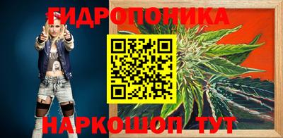 гидропоника Чапаевск