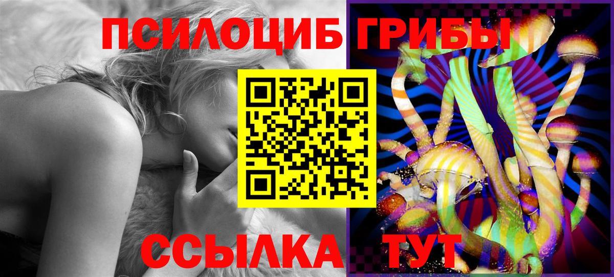 Галлюциногенные грибы Psilocybine cubensis  Вход с VPN  Галлюциногенные грибы мухоморы  Люберцы 